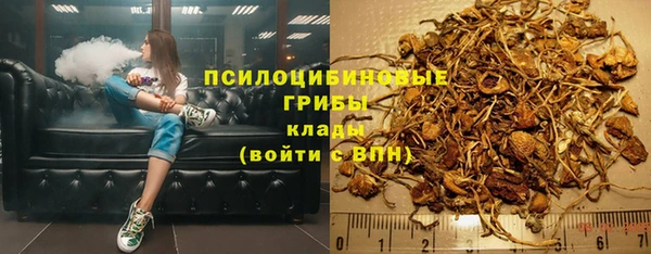 индика Зеленодольск