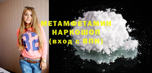 индика Зеленодольск
