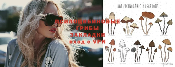 винт Богданович